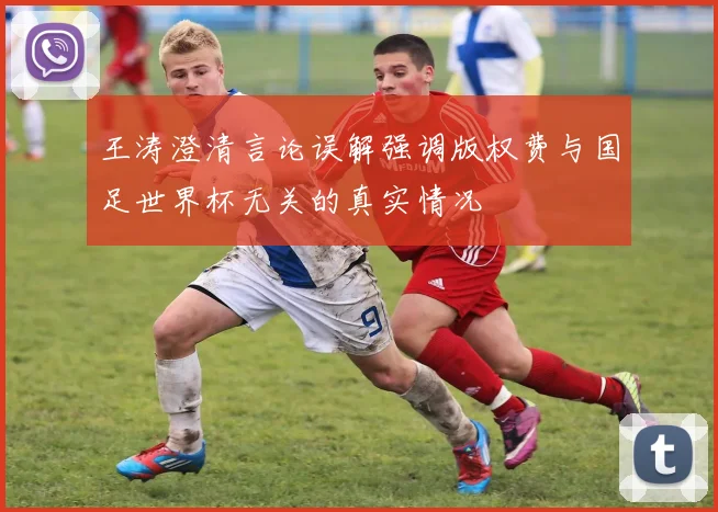 王涛澄清言论误解强调版权费与国足世界杯无关的真实情况