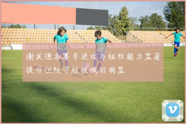 谢泼德本赛季进攻与组织能力显著提升但防守短板依旧明显